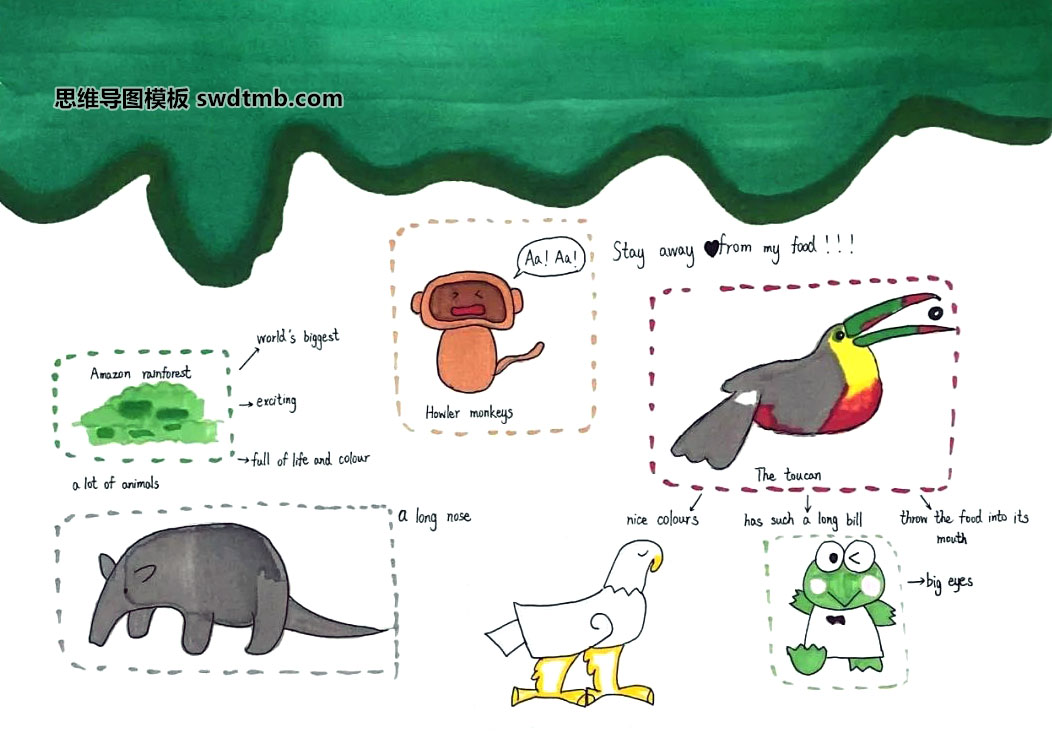 六年级《亚马逊热带雨林》阅读英语思维导图
