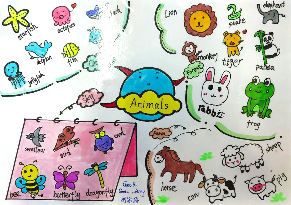 小学阶段英语思维导图 animals主题思维导图