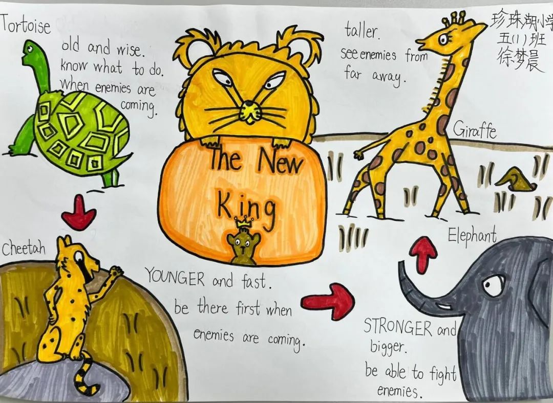 五年级英语整本书阅读思维导图 The New King