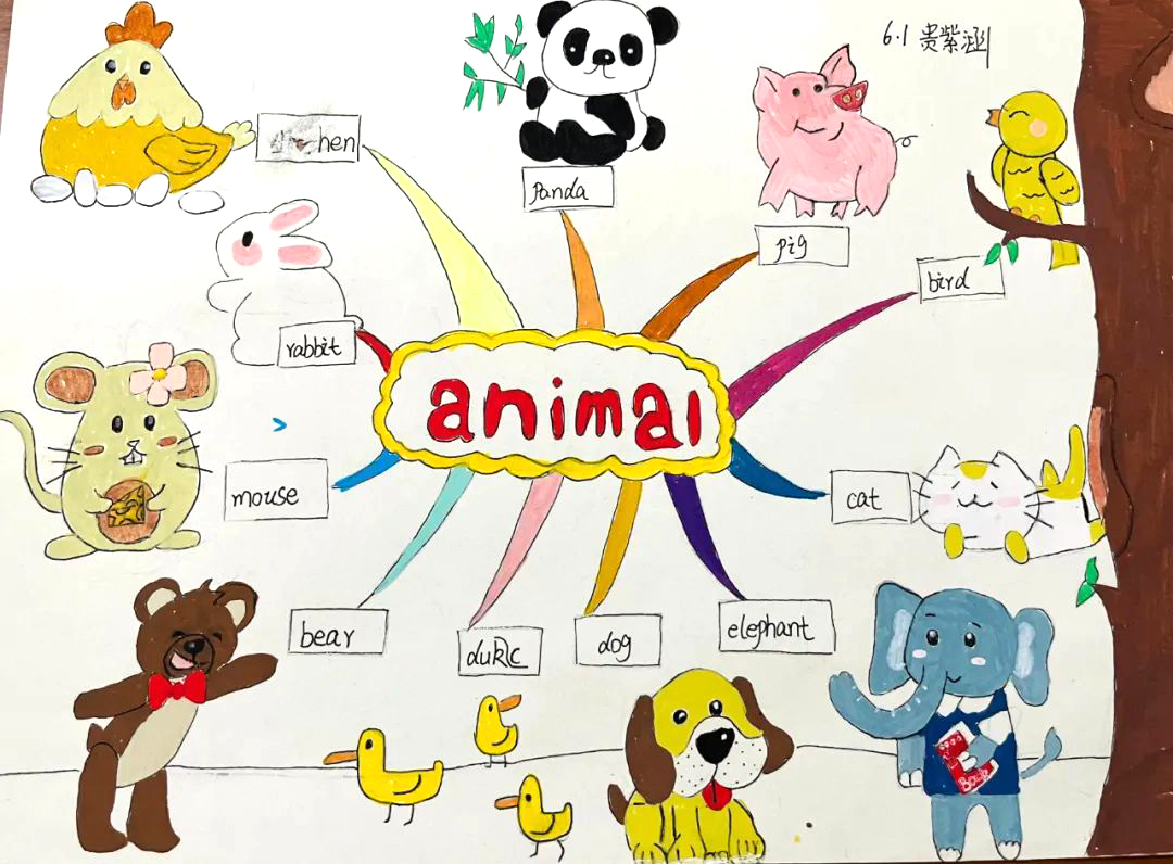 四年级英语animals思维导图-第2张