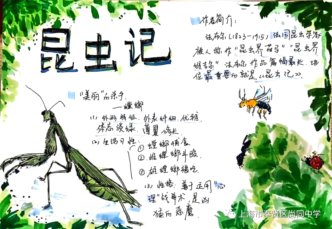 《昆虫记》之美丽的杀手-螳螂思维导图