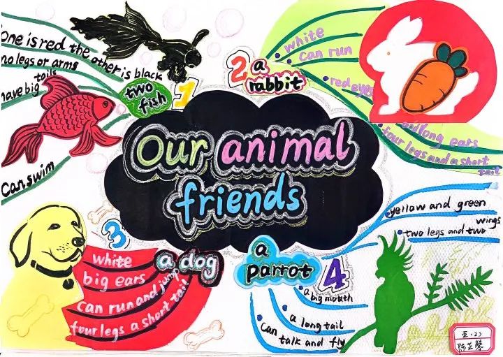 五年级英语unit3 Our animal friends学习思维导图