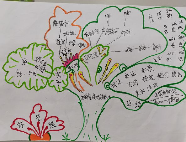 《植物妈妈有办法》思维导图二年级-第3张