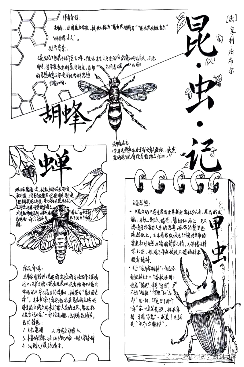 《昆虫记》思维导图之胡蜂、蝉、甲虫