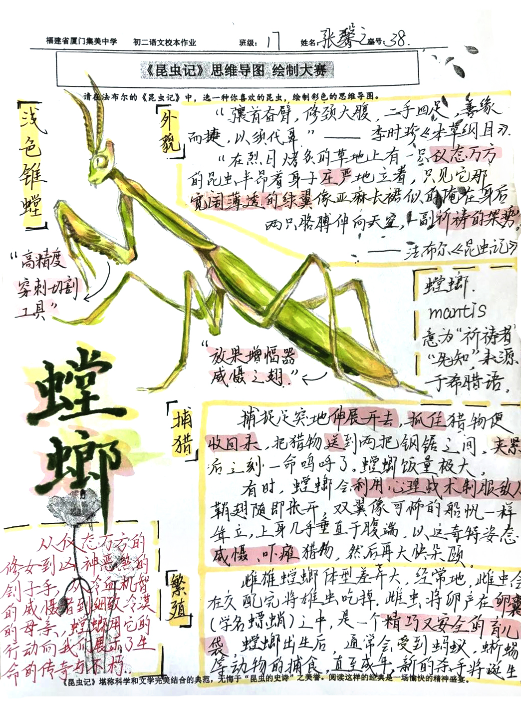 《昆虫记》之螳螂的介绍思维导图
