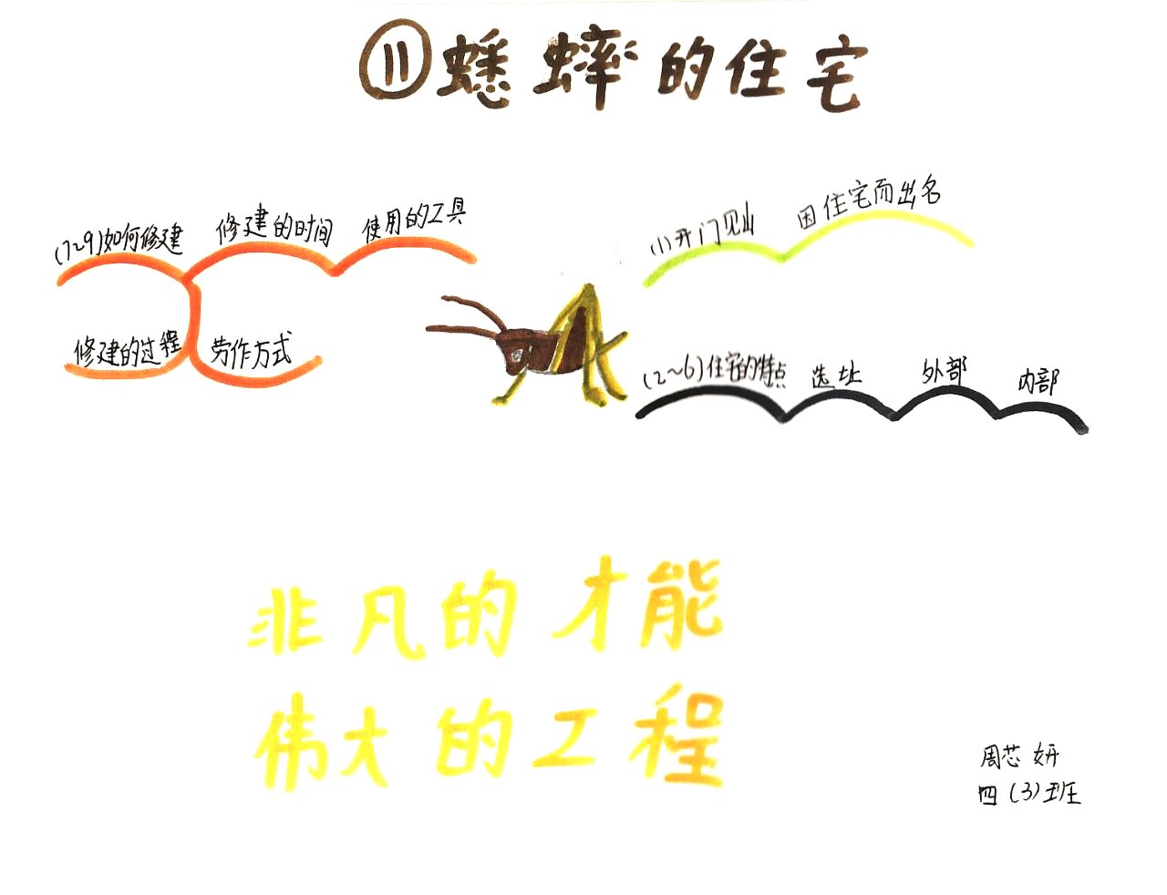四年级语文课文蟋蟀的住宅思维导图